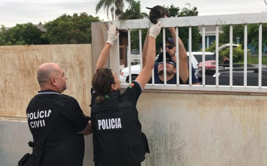 Polícia encontra cinco cachorros congelados no RS