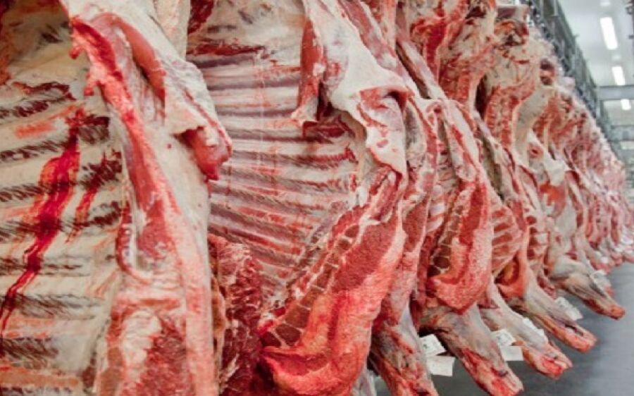 Reabertura dos EUA para carne in natura brasileira é oportunidade para pecuária de MS