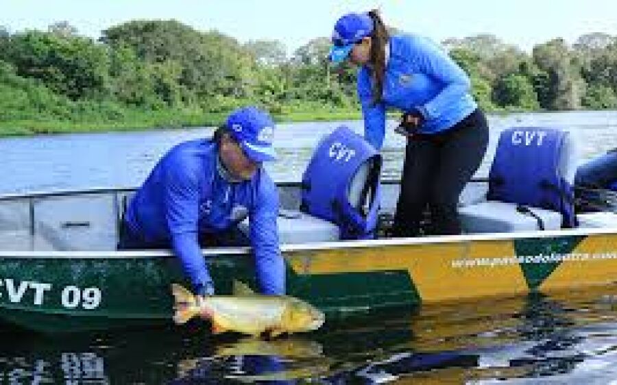 Governo flexibiliza Cota Zero e cada pescador poderá transportar um peixe