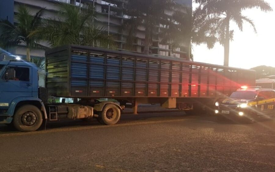 PRF apreende 500 mil maços de cigarros em Rio Verde 