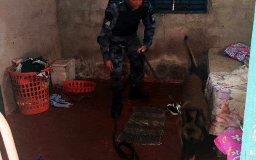 Operação conjunta entre Polícias Civil e Militar resulta em duas prisões por tráfico em Rio Verde