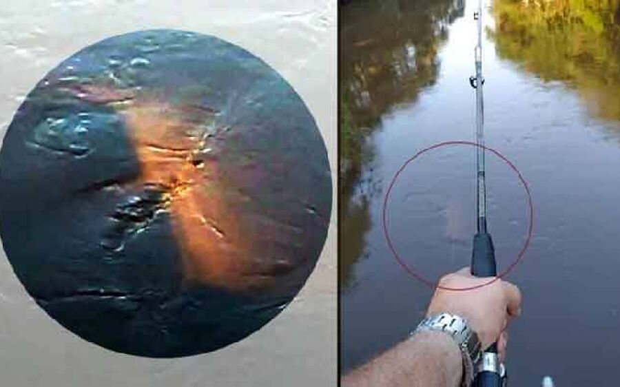 Pescador flagra carro dentro de córrego em Campo Grande