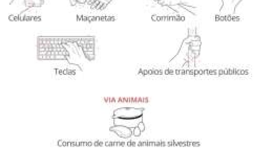 Como o vírus é transmitido e por que o isolamento é importante?