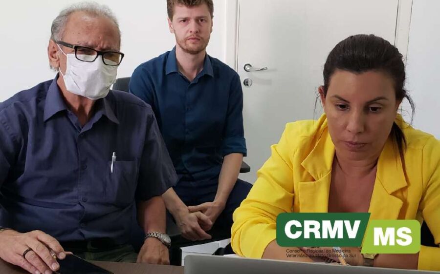 Médicos veterinários podem trabalhar como voluntários no combate ao coronavírus
