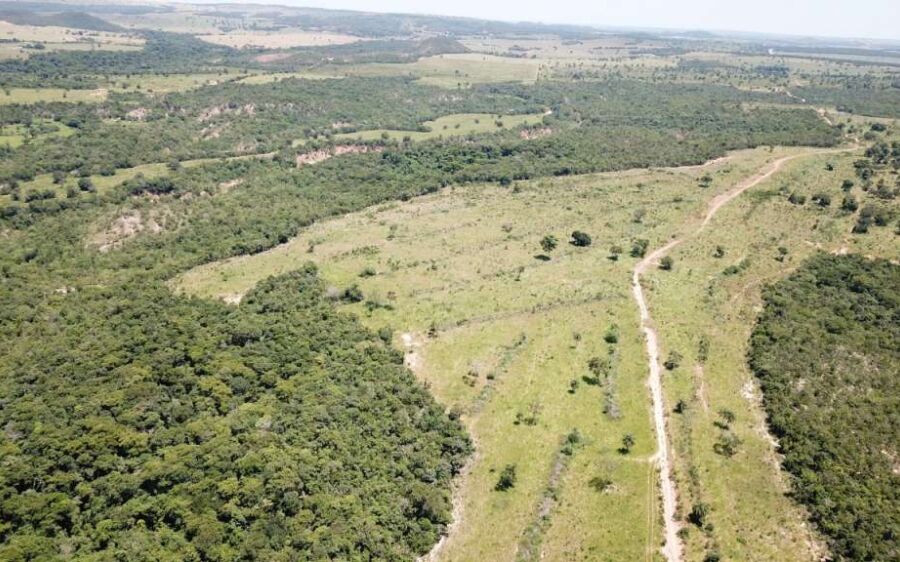 PMA de Coxim autua infrator em R$ 118 mil por desmatamento ilegal de 102 hectares