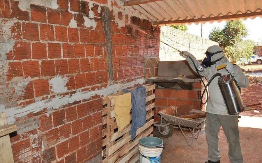 Leishmaniose Visceral matou duas pessoas em Mato Grosso do Sul