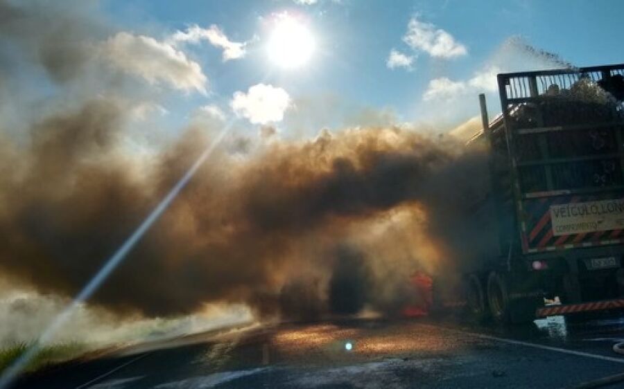 Carreta carregada com eucalipto pega fogo e interdita rodovia federal em Mato Grosso do Sul