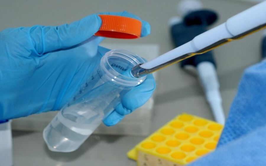 Coronavírus: 12 municípios de MS recebem cloroquina para tratamento de casos mais graves