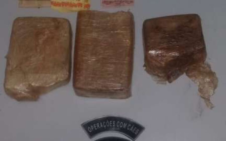Polícia Militar e Polícia Civil apreendem drogas em Rio Verde