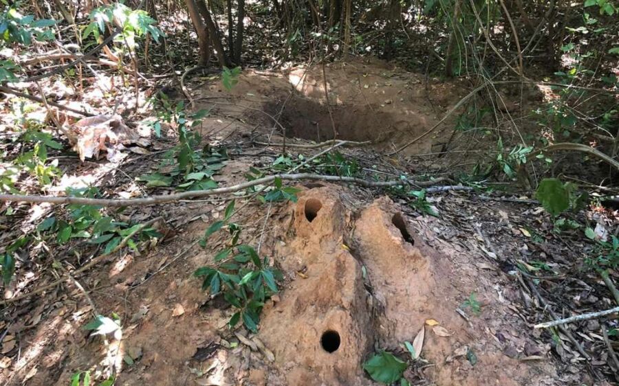 Polícia conclui inquérito e padrasto e mãe que matou a própria filha seguem presos' Maldade e frieza