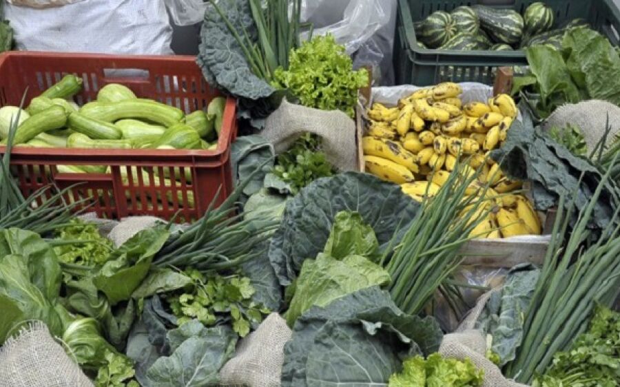 União autoriza distribuição de produtos da agricultura familiar à família de estudantes