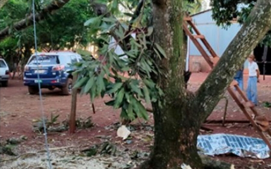 Homem morre ao ser atingido na cabeça durante poda de árvores em São Gabriel 