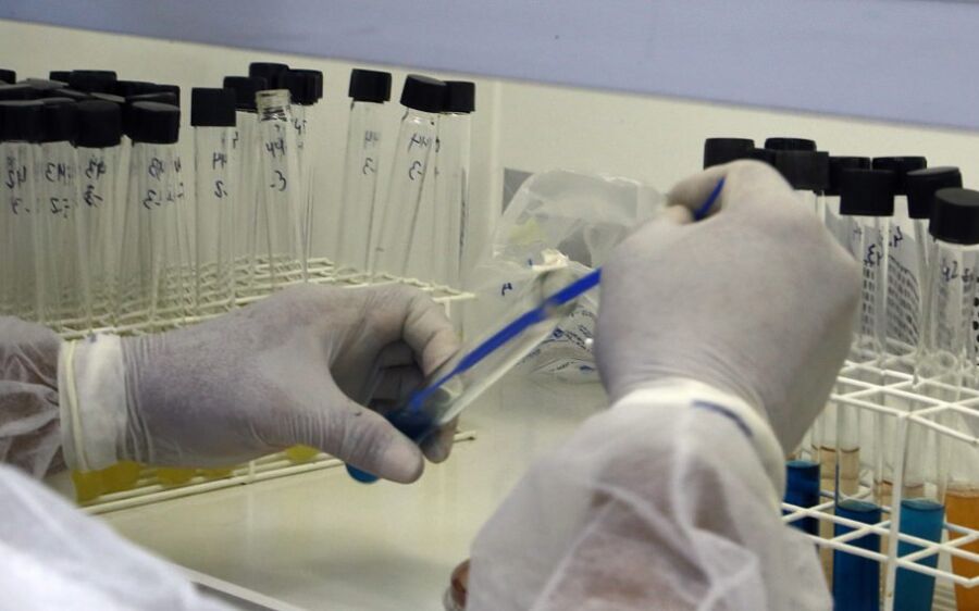 SES interdita laboratório de exames de MS