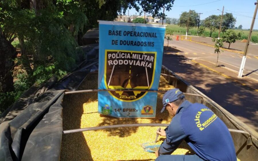 Crime organizado leva prejuízo de R$ 40 milhões com apreensões de drogas no Estado