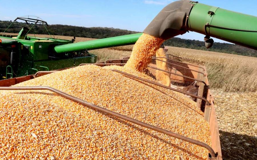 China é o destino de 79% da produção de soja exportada pelo Mato Grosso do Sul