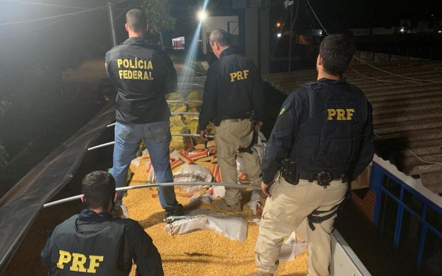 PF e PRF fazem em MS maior apreensão de maconha da história do Brasil