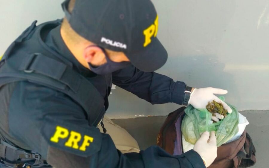 Transportando flores da maconha mulher é presa pela PRF em Bandeirantes