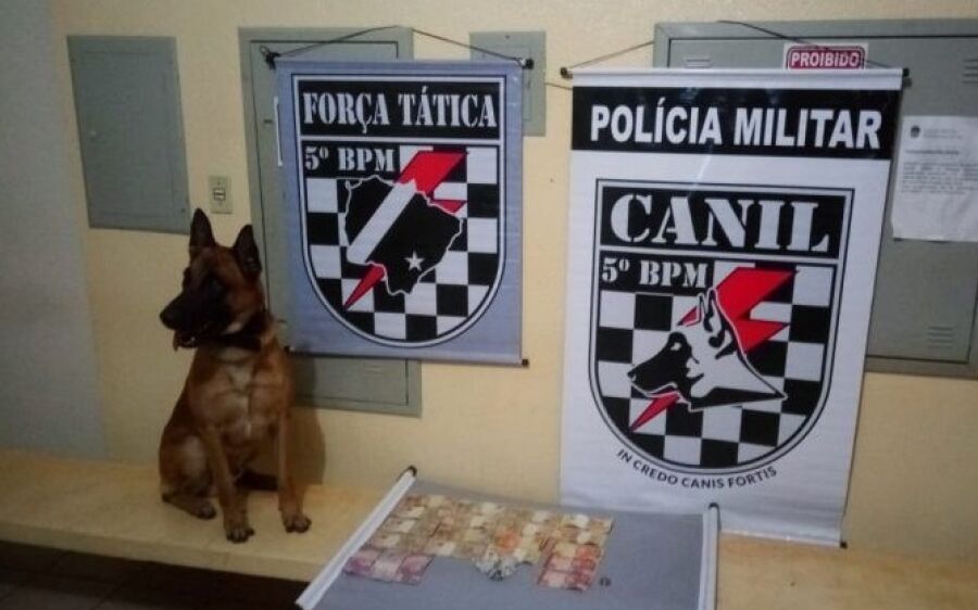Dois são presos por tráfico de drogas com ajuda de cão farejador, em Coxim