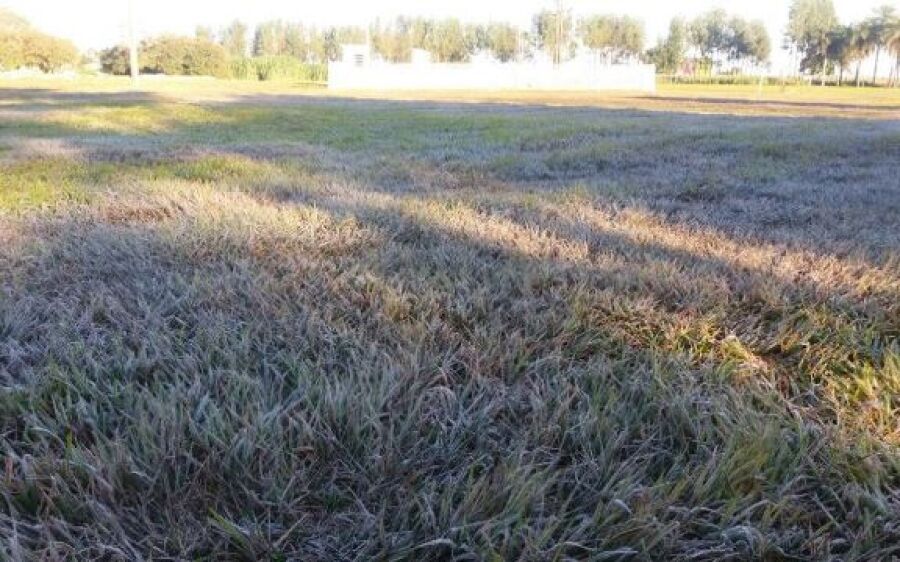 Cidades registram geada e sensação térmica chega a -2ºC em MS