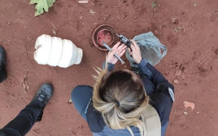 Mulher é presa por matar o sobrinho após ele ameaçar a avó na zona rural de Rio Verde