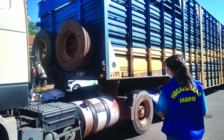 PM, Iagro e Bombeiros realizaram barreira sanitária