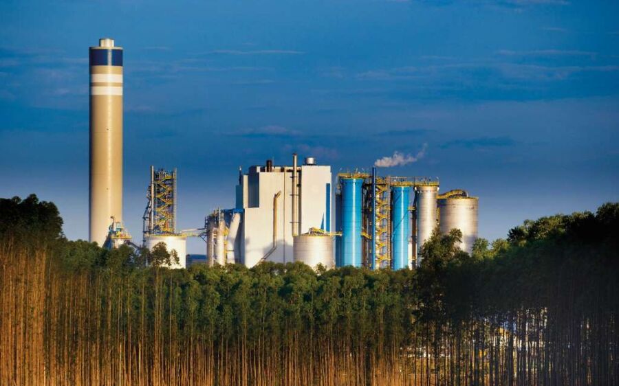 Indústria de celulose abre  seleção para contratar 40  funcionários em MS