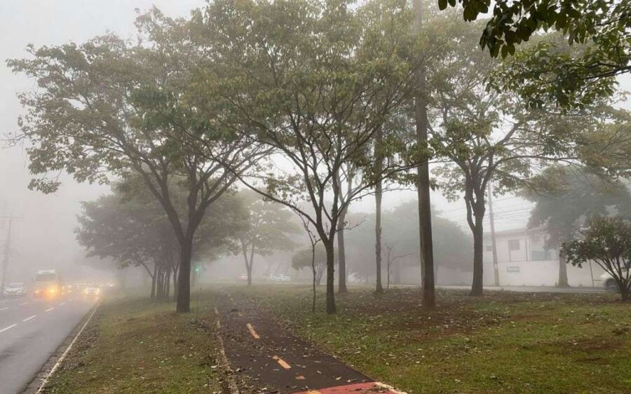 Frio chegou em MS com 17 cidades encobertas por neblina e mínima de 9°C