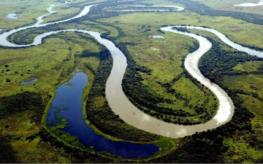 Lei sancionada pelo governador define 12 de novembro como Dia do Pantanal