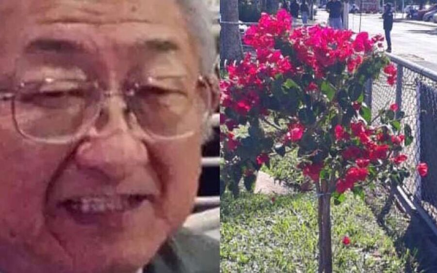 Médico morto pelo coronavírus ganha homenagem em hospital de MS
