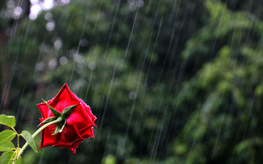 Chuva muda o clima em grande parte do Estado a partir desta quarta-feira