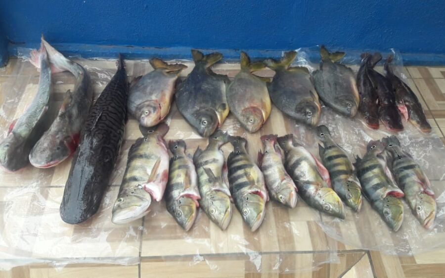 PMA autua empresários por pesca predatória no rio Correntes em Sonora e apreende petrechos em Coxim