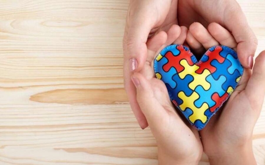 Câmara aprova projeto que cria  banco de dados e Carteira de  Identificação da pessoa autista