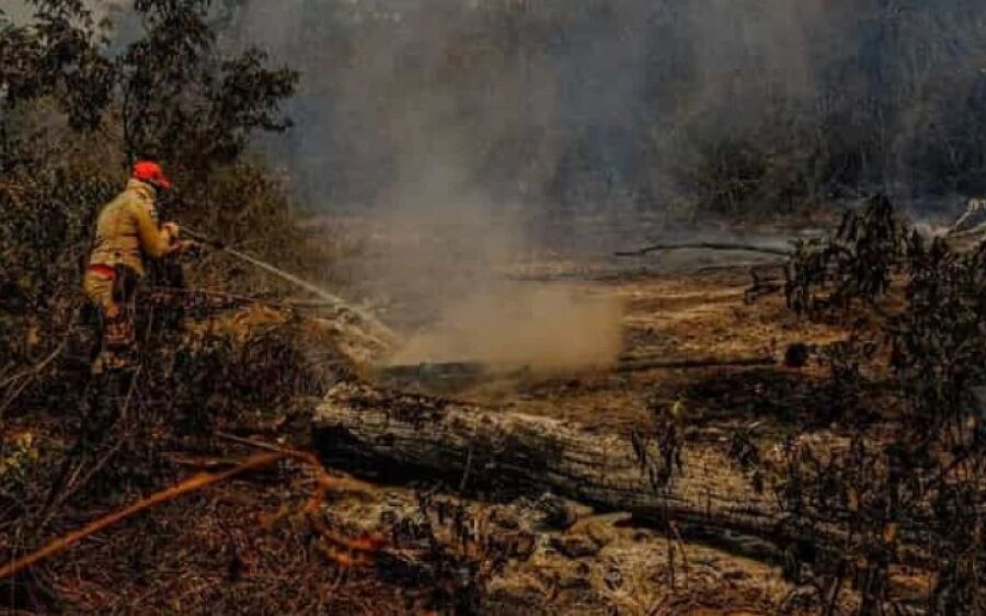 Promessa de verba faz Ibama retomar ações anti-incêndio