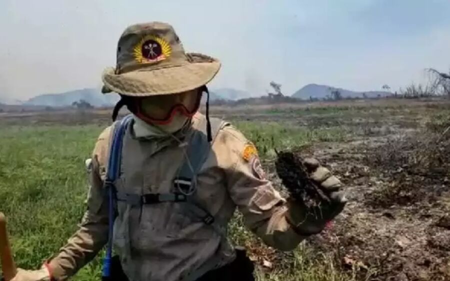 Após trégua, Pantanal de MS enfrenta 83 focos de incêndio em oito dias