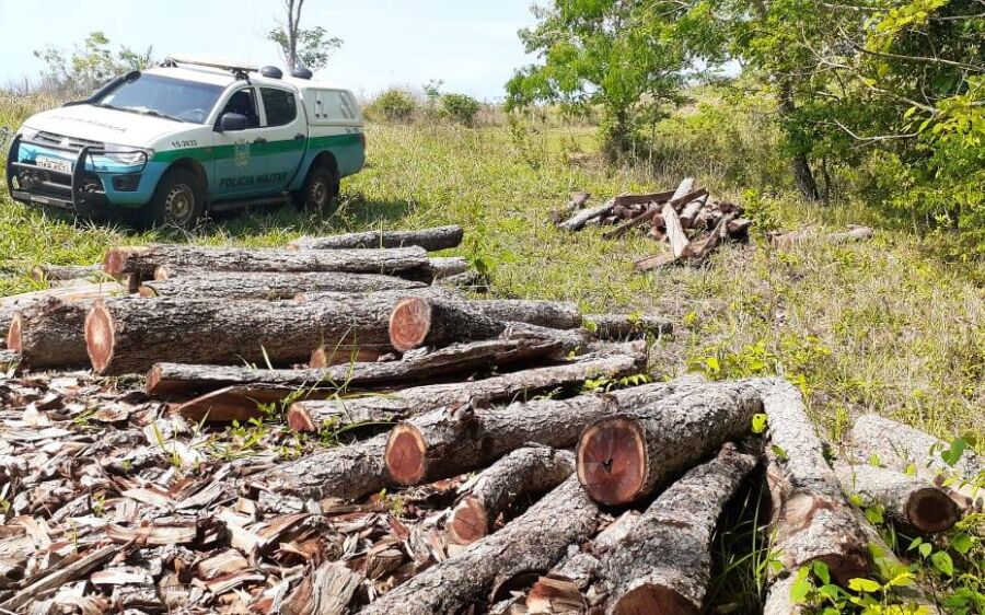 PMA de São Gabriel do Oeste autua sitiante por derrubada ilegal de árvores 