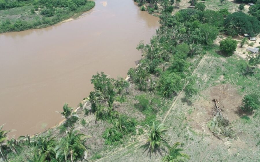 PMA autua pecuarista por desmatamento ilegal e apreende máquina de esteira em Coxim