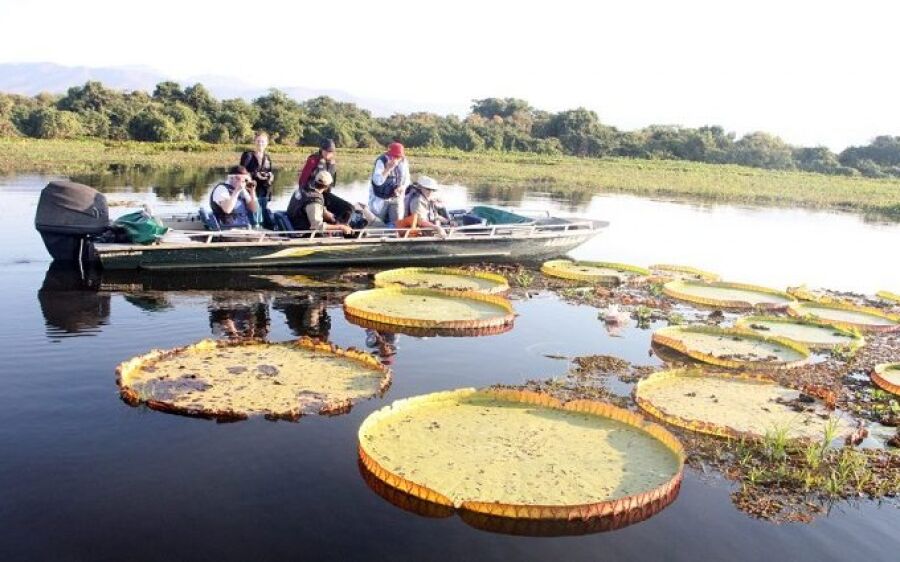 ObservaturMS realiza pesquisa com setor turístico estadual sobre impactos da pandemia