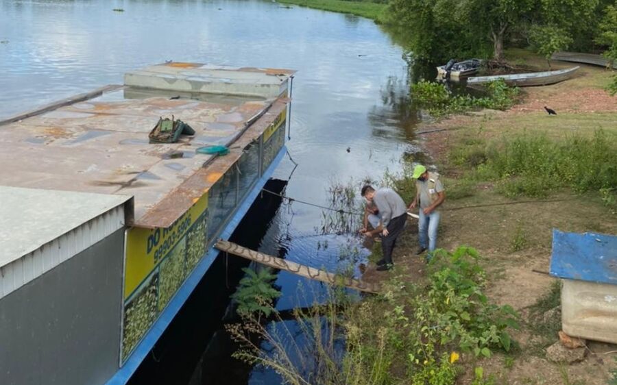 Peixes agonizam com fenômeno 'decoada', que atinge rios do Pantanal de MS