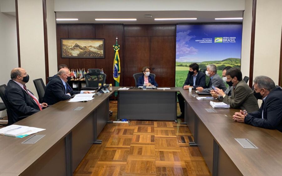 Prefeitos que integram o COINTA são  recebidos pela ministra Tereza Cristina 