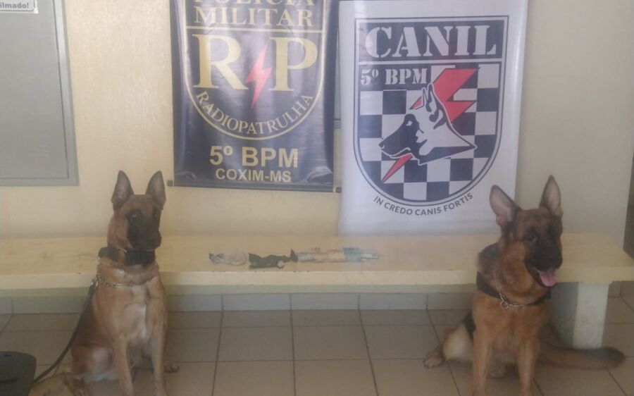 Polícia Militar com apoio do Canil prende autores de receptação, tráfico de drogas e furto em Coxim