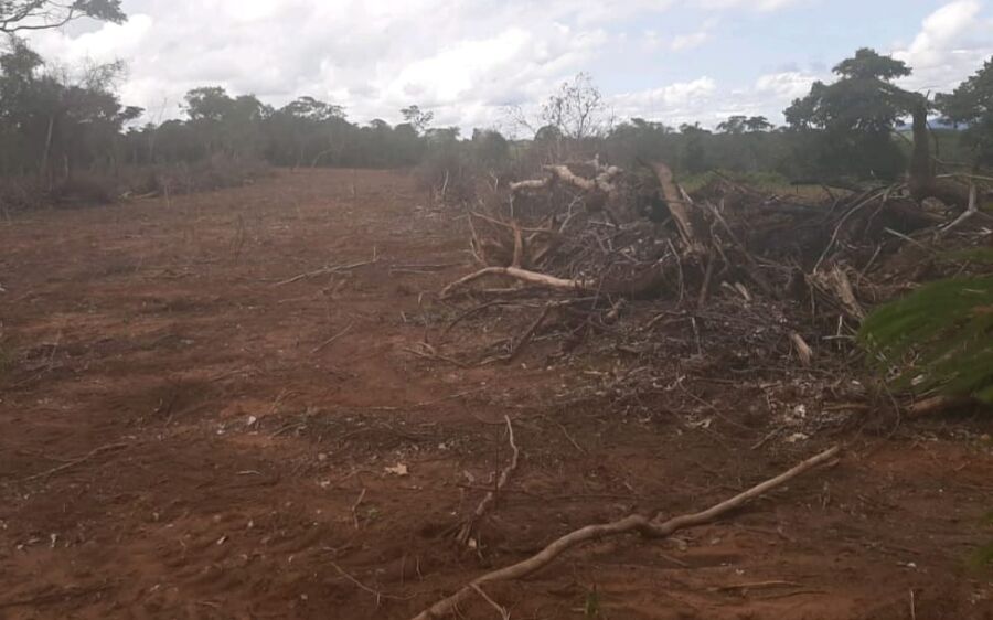 PMA de Coxim autua infrator por desmatamento ilegal de 3 hectares de vegetação nativa para formação 
