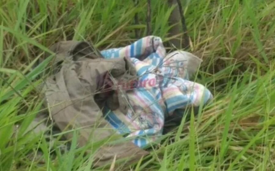 Recém-nascida é encontrada morta enrolada em cobertores no matagal