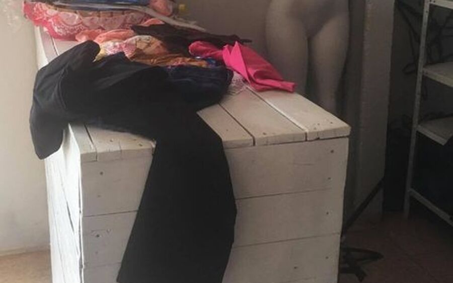 Mulher acha que latido de cães era por conta de gatos, mas depois vê que ladrões fizeram 'limpa'  