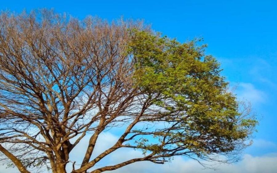 Troca de estação deixará tempo instável em Mato Grosso do Sul