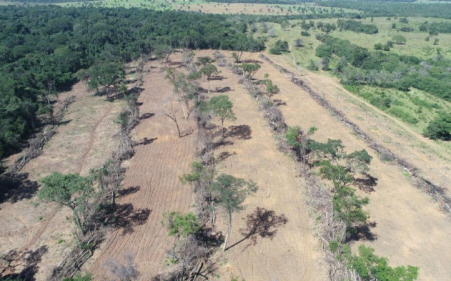 PMA multa fazendeiro ao apresentar licença falsa em Alcinópolis