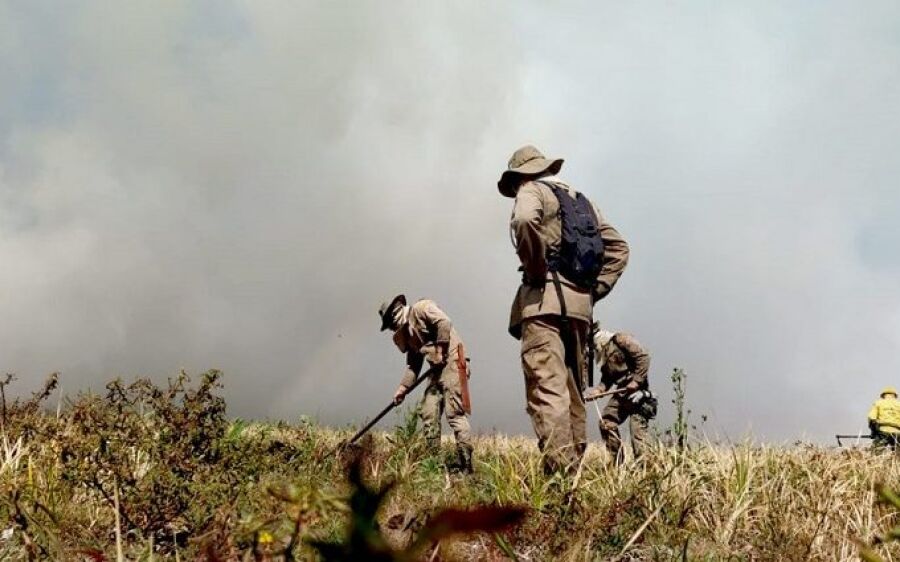 Governo institui Plano Estadual de Manejo Integrado do Fogo para prevenir e combater incêndios flore