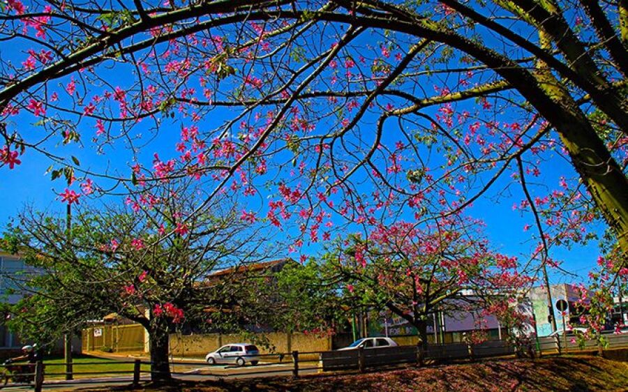 Clima muda a partir deste fim de semana e sul do Estado pode registrar mínima de 8°C