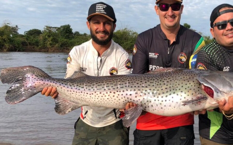 Homem pesca peixe de 1,70 metro e mais de 50 Kg em rio de MS