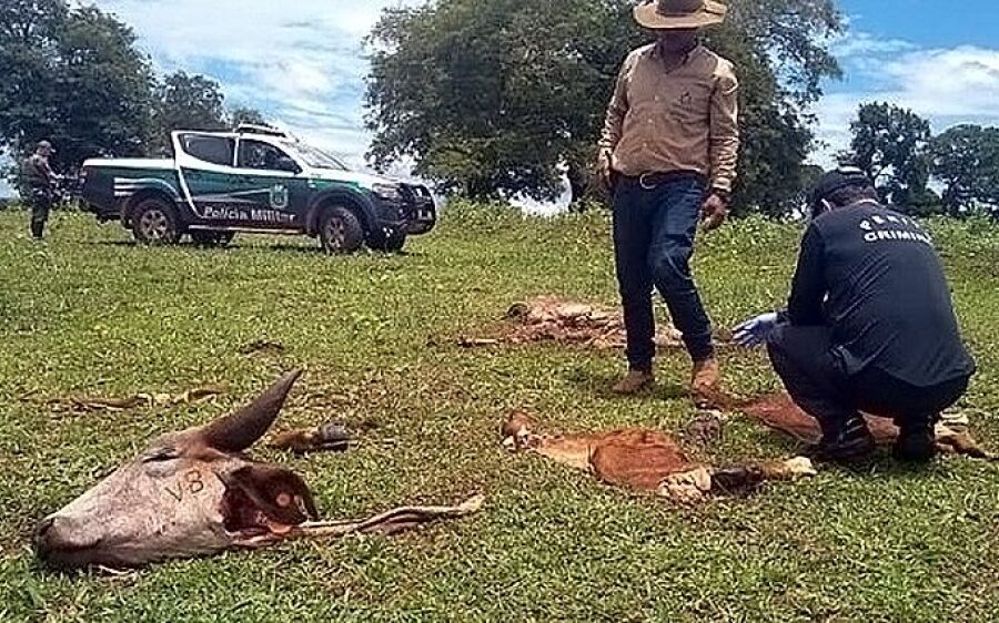 Governo cria delegacia de combate a crimes rurais e abigeato, medida comemorada pelos produtores
