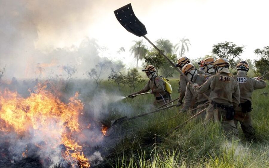 Para reforçar combate a incêndios florestais, 151 novos bombeiros passam por capacitação